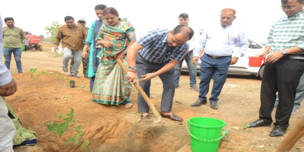 कलेक्टर व सीईओ पहुंचे ग्राम बरौदा, किया पौधरोपण