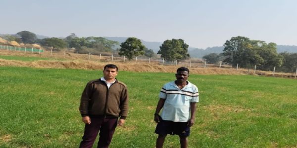 जशपुर के किसान ने गेहूं की खेती से बढ़ाई आमदनी