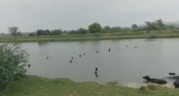 नहर में सर्च ऑपरेशन चलाते ग्रामीण नहर में सर्च ऑपरेशन चलाते ग्रामीण