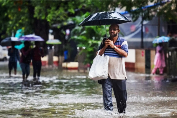 फाइल फाइल