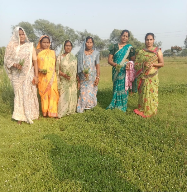 समूह में खड़ी हुई औषधीय खेती करने वाली महिलाएं। समूह में खड़ी हुई औषधीय खेती करने वाली महिलाएं।