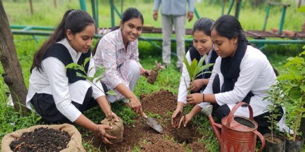 अनूपपुर: जिले के 10 निकायों में लगेंगे 4 लाख पौधे, 22 जुलाई से शुरू होगा महाअभियान