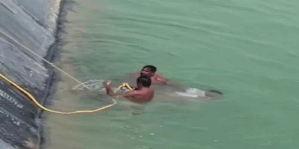 छोटे भाई को बचाने डिग्गी में कूदा बड़ा भाई, दोनों की डूबने से मौत
