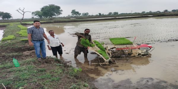 छग : किसान अब उन्नत तकनीक की ओर अग्रसर, पैडी ट्रांसप्लांटर विधि से धान रोपाई