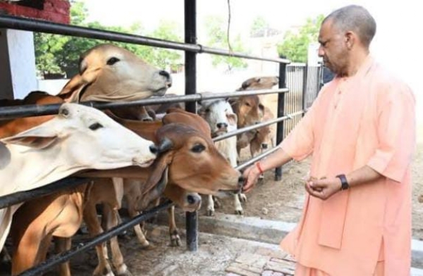 योगी सरकार के दुग्ध उत्पादन से जुड़े फोटो योगी सरकार के दुग्ध उत्पादन से जुड़े फोटो