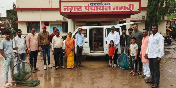 आवारा कुत्तों के खिलाफ नगरी में विशेष अभियान शुरू