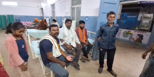जबलपुरः जंगली सियार ने घरों में घुसकर सात ग्रामीणों पर हमला, गांव में दहशत