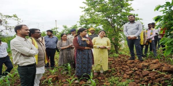 मप्र के सिवनी जिले के सीताफल को मिला जीआई टैग, अब राष्ट्रीय ब्रांड बनाने की तैयारी
