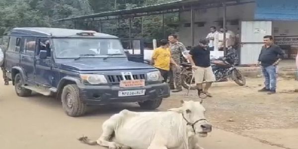 मप्र: बालाघाट में करोड़ों के चावल घोटाला मामले में राइस मिलर्स संचालक और पार्टनर गिरफ्तार