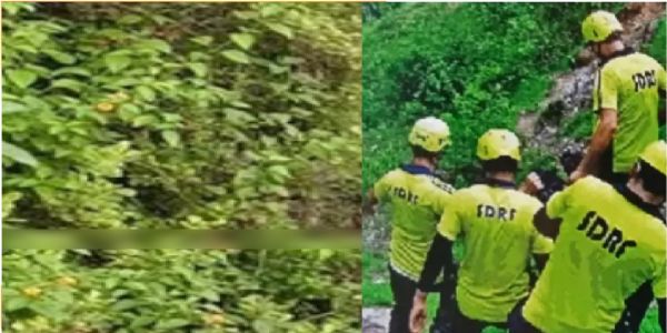 मवेशी चराने गई महिला की खाई में गिरने से मौत