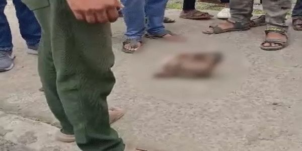 भोपाल में गाैवंश का कटा सिर मिलने से हड़कंप, निशातपुरा में विहिप-बजरंग दल का चौकी घेराव, आरोपियों की गिरफ्तारी की मांग