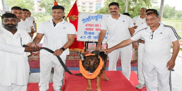 आठ वर्षों की गौरवपूर्ण सेवा के बाद एसएसबी के स्वान 