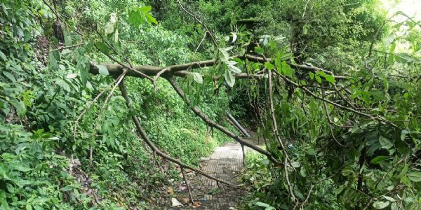 हिमाचल में मॉनसूनी बारिश के बीच चोटियों पर बर्फबारी, 27 से 29 जुलाई तक भारी बारिश का ऑरेंज अलर्ट
