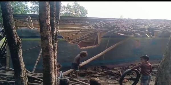हाथियों ने कई घर तोड़े, खेतों में लगी फसलों को रौंदा