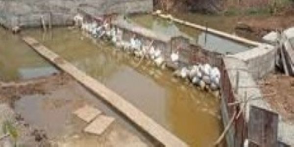 छत्तीसगढ़ के जिला राजनांदगांव में 
