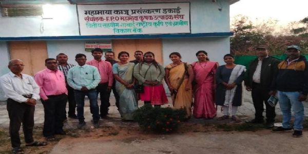 महामाया एफपीओ ने बदली किसानों की तस्वीर: सात लाख से 1.96 करोड़ तक पहुंचा कारोबार, 882 किसानों को मिला समृद्धि का नया रास्ता