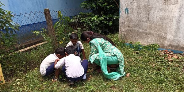 डेबरा में 30 हजार पौधों का वितरण, पर्यावरण संरक्षण का व्यापक अभियान