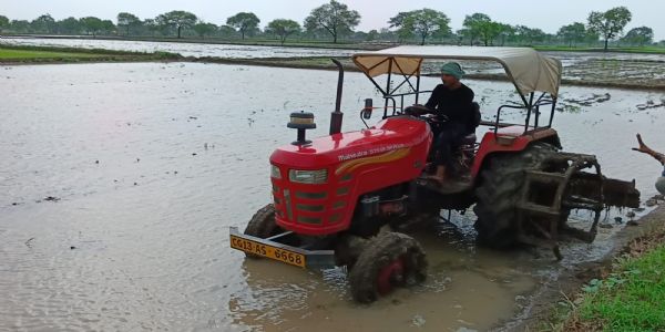 तेज बारिश से जनजीवन प्रभावित, किसानी में आई तेजी