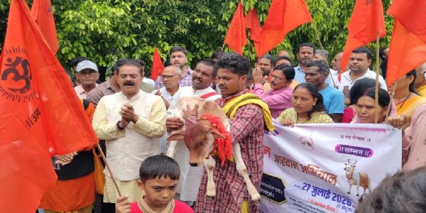 राउत नाचा, दोहा और बछड़े के साथ निकली गो सम्मान पदयात्रा