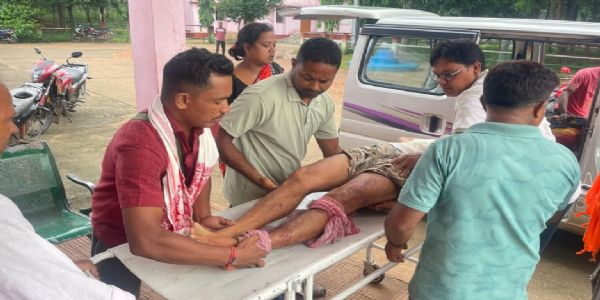 हाथियों के हमले में बुजुर्ग की मौत, गांव में दहशत
