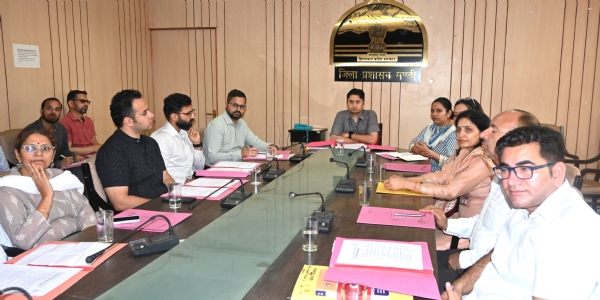 जिला सलाहकार समिति की बैठक की अध्यक्षता करते हुए उपायुक्त।