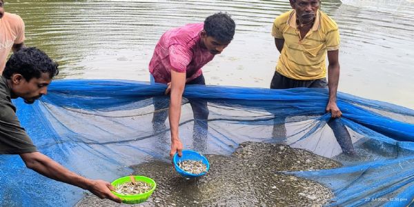 मछली बीज उत्पादन से आत्मनिर्भर बनी मनकी, बढ़ा रही परिवार की आमदनी