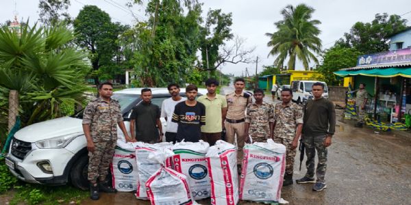 सुकमा : नशे के नेटवर्क पर सुकमा पुलिस का बड़ा प्रहार, 223 किलो गांजा जब्त