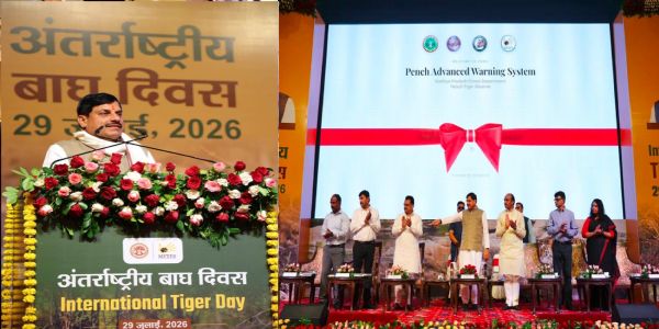 मध्य प्रदेश में बाघों की संख्या जल्द एक हजार के करीब पहुंचेगी : मोहन यादव