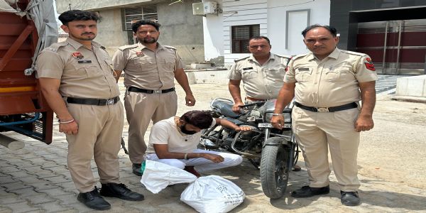 सिरसा: चार नशा तस्कर गिरफ्तार, चूरापोस्त व हेरोइन बरामद