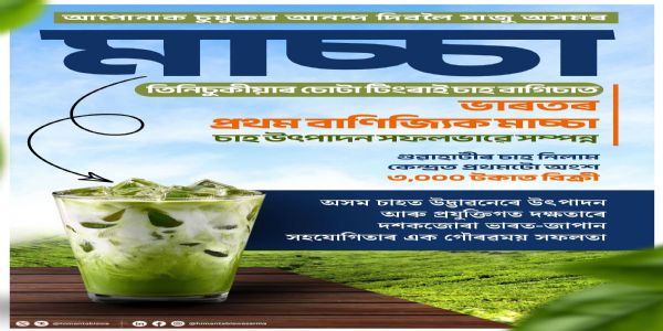 असम में शुरू हुआ माचा चाय का व्यावसायिक उत्पादन, देश का पहला राज्य बना