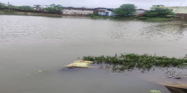 अभनपुर तहसील के लखना गांव के बीच स्थित तालाब में मिला युवती का शव ,जाँच जारी