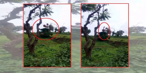 अनूपपुर: ऑनलाइन हाजिरी के लिए पेड़ पर चढ़ी एएनएम, व्यवस्था पर उठे सवाल
