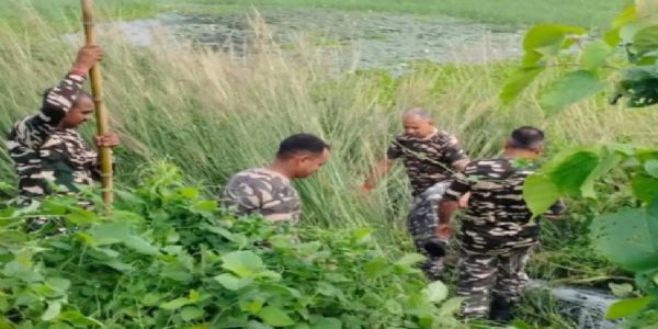 भारत-नेपाल सीमा पर एसएसबी की बड़ी कार्रवाई, 451 किलो गांजा सहित 77 लीटर शराब जब्त