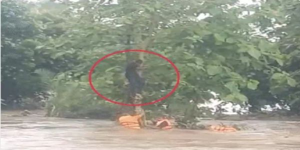 गुजरात में अति भारी बारिश, कई जिलों में रेड अलर्ट, नवसारी में करंट से तीन मजदूरों की मौत