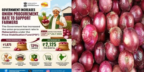 प्याज के लोगो का जारी प्रतीकात्मक चित्र प्याज के लोगो का जारी प्रतीकात्मक चित्र