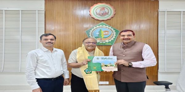 जनसंचार शिक्षा व शोध में 
