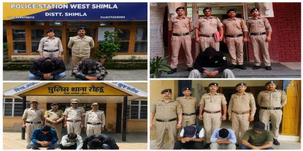 शिमला : दो हफ्तों में सात जगह पकड़ा 157 ग्राम चिट्टा, 15 गिरफ्तार