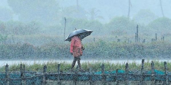 बस्तर संभाग में आषाढ़ की दस्तक के साथ ही मानसून ने पकड़ी रफ्तार