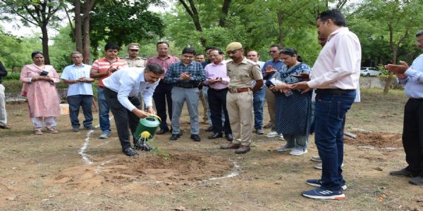 केवल पौधे लगाना ही पर्याप्त नहीं है, वृक्ष बनने तक पोषित करना हमारी सामूहिक जिम्मेदारी : त्रिपाठी