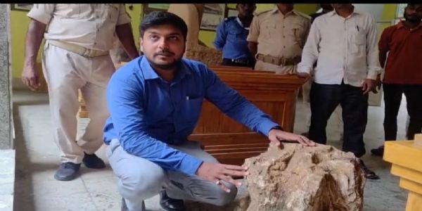 भागलपुर में मिला करोड़ों साल पुराने वृक्ष जीवाश्मों की होगी वैज्ञानिक जांच, लखनऊ भेजा गया नमूना