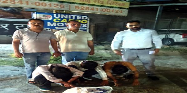 सिरसा: कन्फेक्शनरी की दुकान से नशीली गोलियां बरामद
