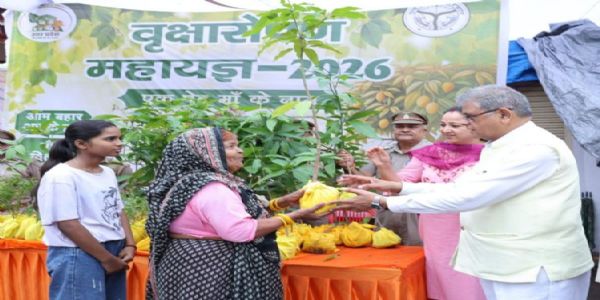 प्रदेश की 2600 से अधिक नर्सरियों में 57.62 करोड़ पौधे तैयार