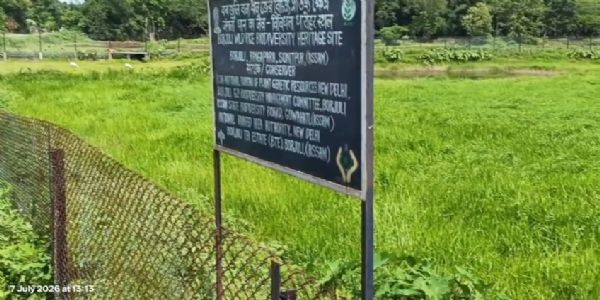 रंगापारा के बरजुली को जैव विविधता विरासत स्थल का दर्जा