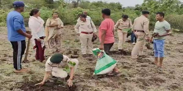 वन भूमि से तीसरी बार अवैध कब्जा हटाकर, किया गया पौधरोपण