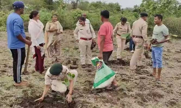 वन भूमि से तीसरी बार अवैध कब्जा हटाकर, किया गया पौधरोपण