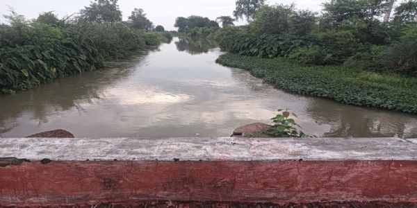 फतेहपुर में 15-15 दिन की रोस्टिंग से सूखी नहरें, धान रोपाई के लिए तरसे किसान
