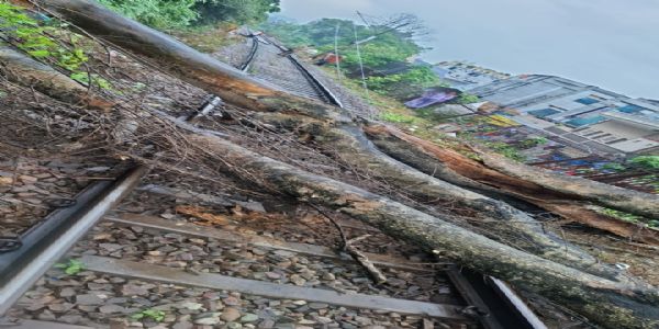 हरिद्वार–मोतीचूर रेलखंड पर पेड़ गिरने से ओवरहेड विद्युत लाइन प्रभावित, 12 रेलगाड़ियों का परिचालन गड़बड़ाया