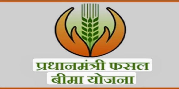 फसल बीमा की तिथि में हुई वृद्धि, अब 14 अगस्त तक करा सकेंगे बीमा