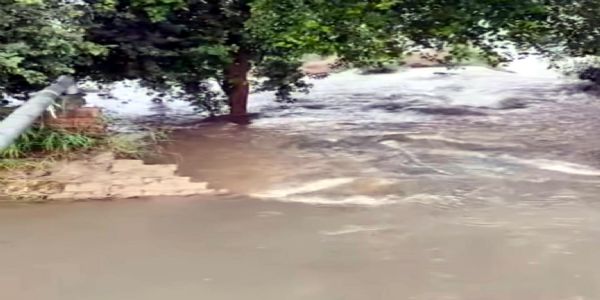 फतेहाबाद : खेड़ी माइनर नहर में आई दरार,सैकड़ों एकड़ फसल जलमग्न