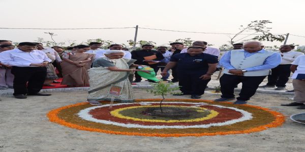 राज्यपाल आनंदीबेन पटेल ने अवध विश्वविद्यालय में मियावाकी वन समेत कई कार्यों का किया लोकार्पण